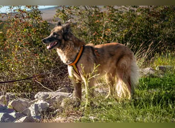 Wilma - Sonnenschein sucht Familie mit Herz