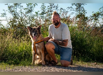 Wilma - Sonnenschein sucht Familie mit Herz