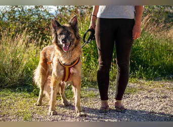 Wilma - Sonnenschein sucht Familie mit Herz