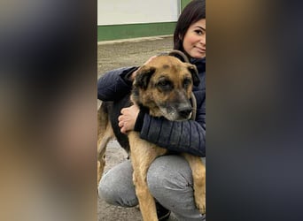 Helena, geboren 12.04.2016, 63cm sucht ihren Ruheplatz