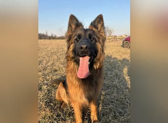 Florencia, 2 Jahre, 63cm sucht ihr für immer Zuhause