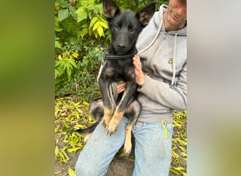 Tessa, geboren 15.06.2025, 42cm sucht ihr neues Leben