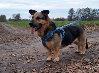 "Berny" er zaubert jeden ein lächeln ins Gesicht