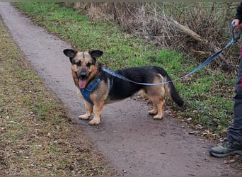 "Berny" er zaubert jeden ein lächeln ins Gesicht