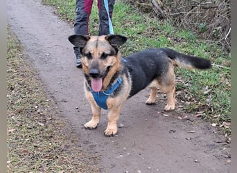 "Berny" er zaubert jeden ein lächeln ins Gesicht