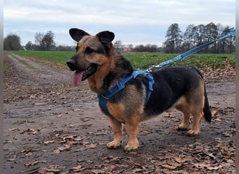 "Berny" er zaubert jeden ein lächeln ins Gesicht