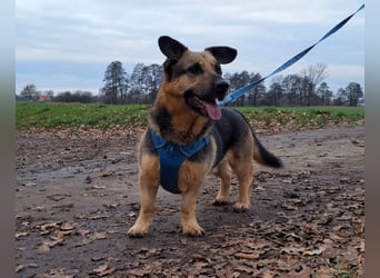 "Berny" er zaubert jeden ein lächeln ins Gesicht