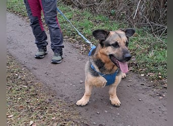 "Berny" er zaubert jeden ein lächeln ins Gesicht