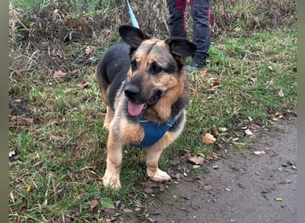 "Berny" er zaubert jeden ein lächeln ins Gesicht