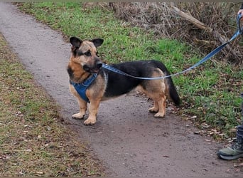 "Berny" er zaubert jeden ein lächeln ins Gesicht