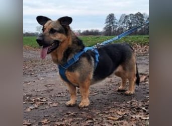 "Berny" er zaubert jeden ein lächeln ins Gesicht