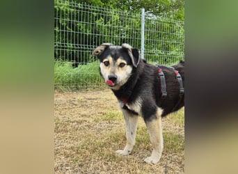 Süßer Vince sucht neuen Wirkungskreis