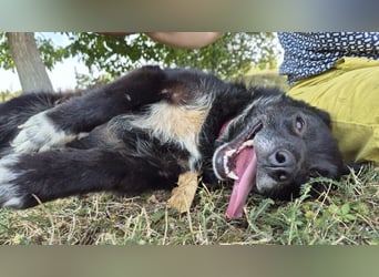 Fröhliche Tina