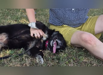 Fröhliche Tina