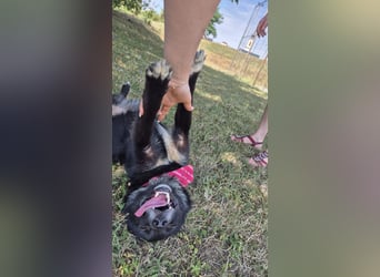 Fröhliche Tina