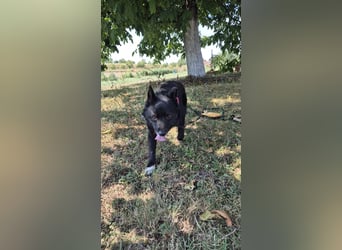 Fröhliche Tina