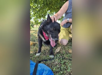 Fröhliche Tina