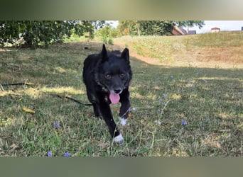 Fröhliche Tina