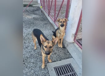 Möchtest du Kirah zeigen, wie schön ein richtiges Zuhause sein kann?