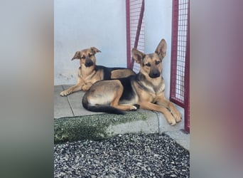 Möchtest du Kirah zeigen, wie schön ein richtiges Zuhause sein kann?