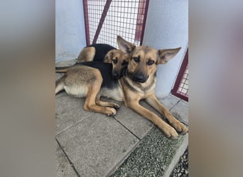 Möchtest du Kirah zeigen, wie schön ein richtiges Zuhause sein kann?