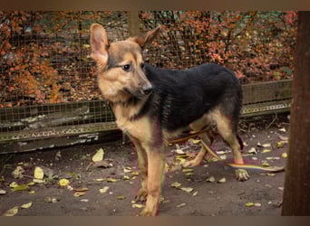 Jutta ist bereit für das größte Abenteuer ihres Lebens