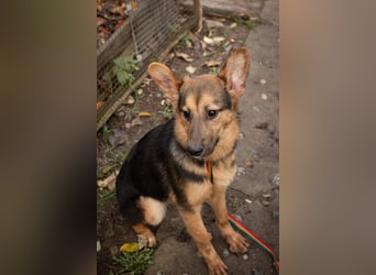 Jutta ist bereit für das größte Abenteuer ihres Lebens