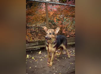 Jutta ist bereit für das größte Abenteuer ihres Lebens