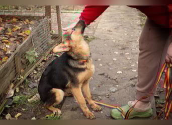 Jutta ist bereit für das größte Abenteuer ihres Lebens