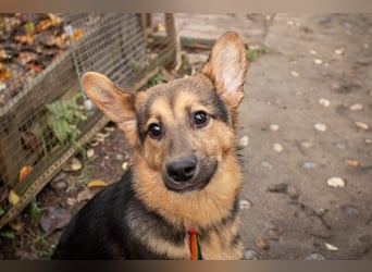 Jutta ist bereit für das größte Abenteuer ihres Lebens