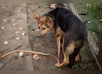 Jutta ist bereit für das größte Abenteuer ihres Lebens