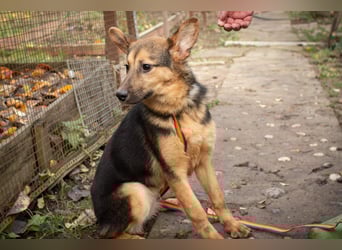 Jutta ist bereit für das größte Abenteuer ihres Lebens