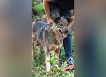 JAMALA Verbreitet Freude (Ukraine)