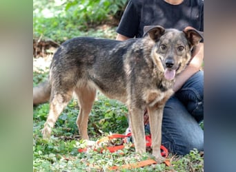 JAMALA Verbreitet Freude (Ukraine)