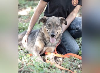 JAMALA Verbreitet Freude (Ukraine)