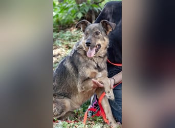 JAMALA Verbreitet Freude (Ukraine)