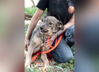 JAMALA Verbreitet Freude (Ukraine)