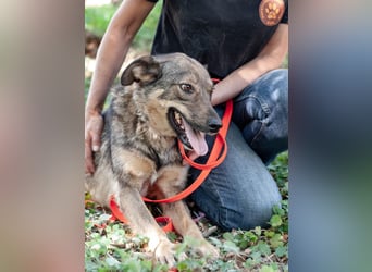 JAMALA Verbreitet Freude (Ukraine)