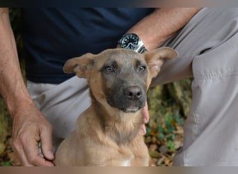 Betula - Ein bisschen Hundekinderelternwahnsinn?