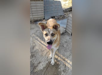 Petty - schön, charmant und trotzdem übersehen