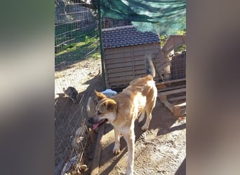 Petty - Da fehlt doch ein "R"!