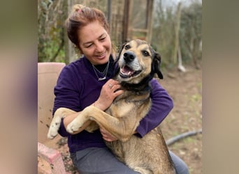 Rocky - er stellt sich vor