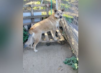 Petty - schön, charmant und trotzdem übersehen