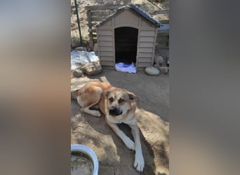 Petty - Da fehlt doch ein "R"!