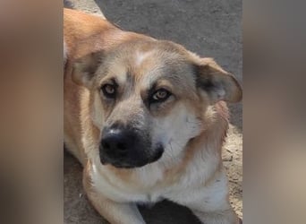 Petty - Da fehlt doch ein "R"!