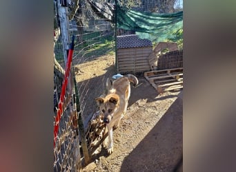 Petty - Da fehlt doch ein "R"!