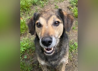 Rocky - er stellt sich vor