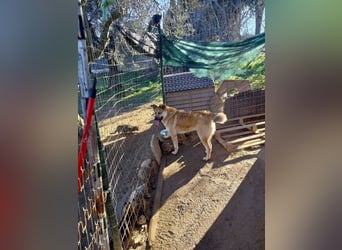 Petty - schön, charmant und trotzdem übersehen