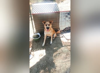 Petty - schön, charmant und trotzdem übersehen