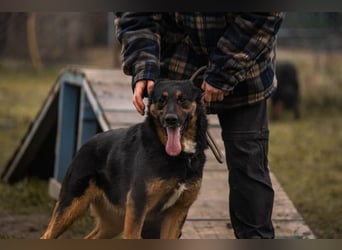 Nia: 50cm großes, aktives Mädchen